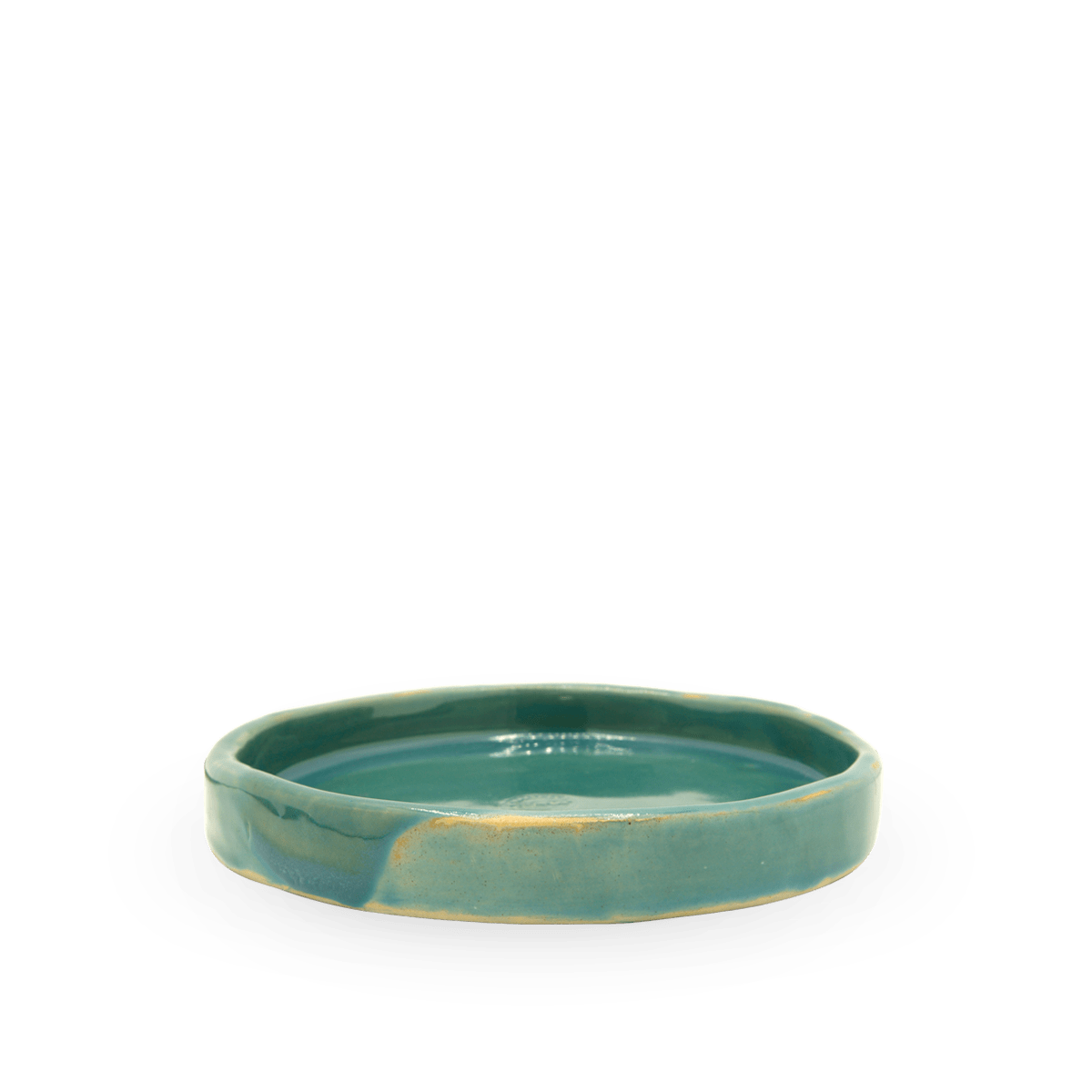 Bandeja Ana Vida Verde Agua 1