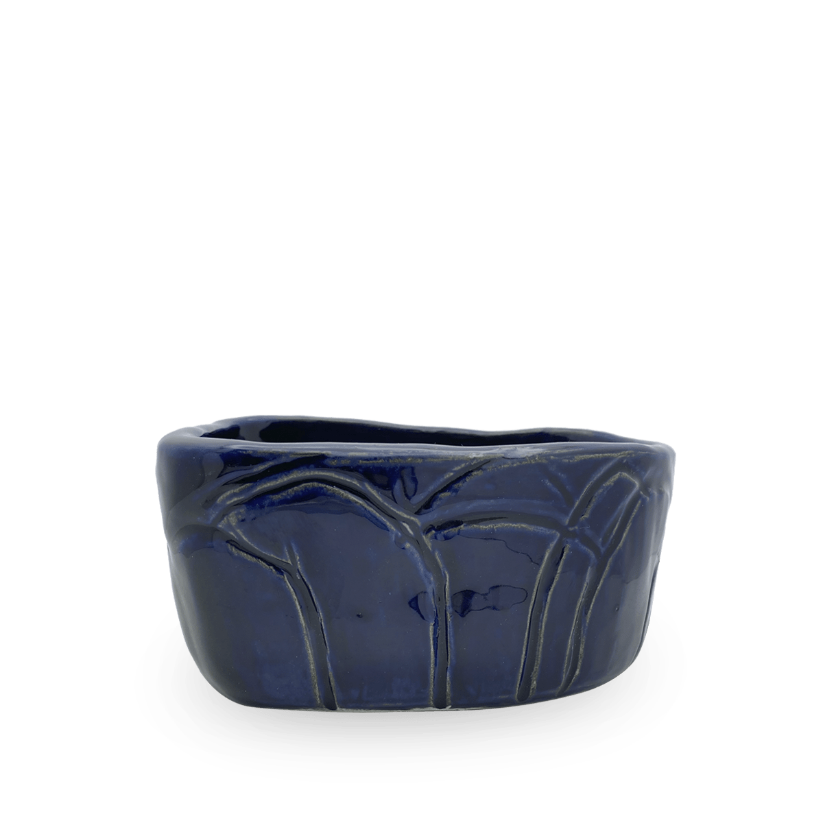 Cuenco Silvy Tortuga Azul Cobalto 1