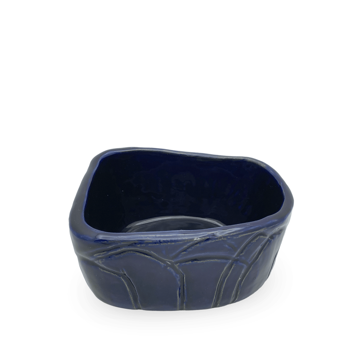 Cuenco Silvy Tortuga Azul Cobalto 2