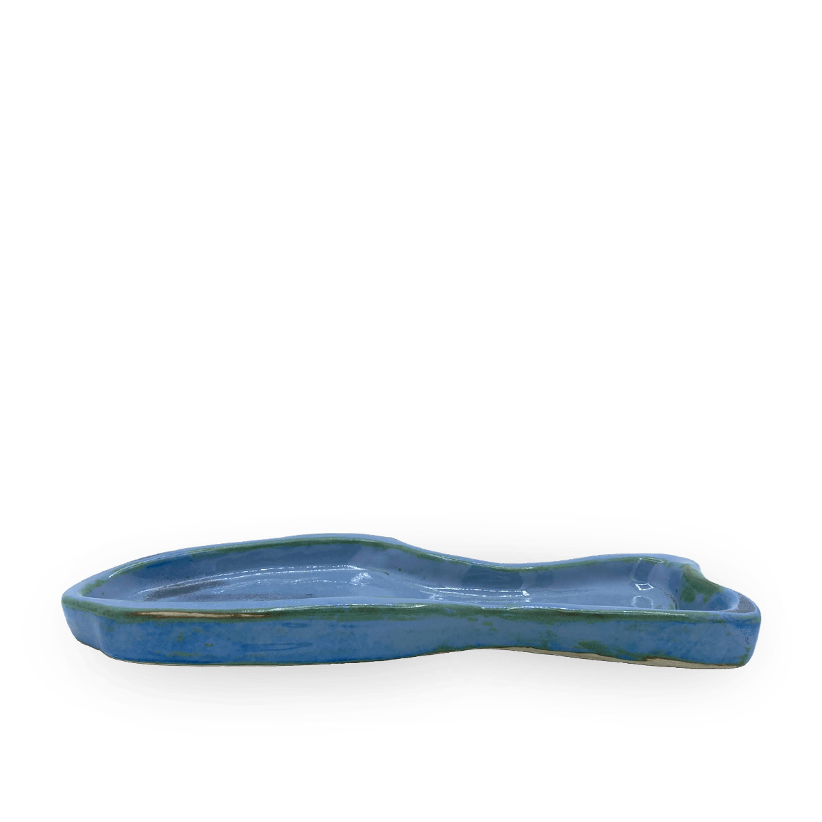 Bandeja Ana Pez Azul y Verde 1