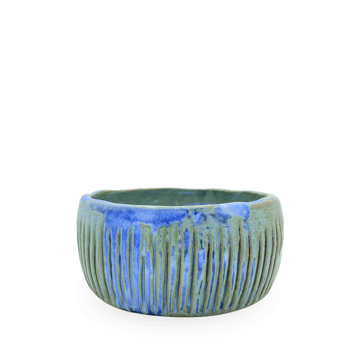 Mascotas Macarena XL lineas Azul y Verde 1