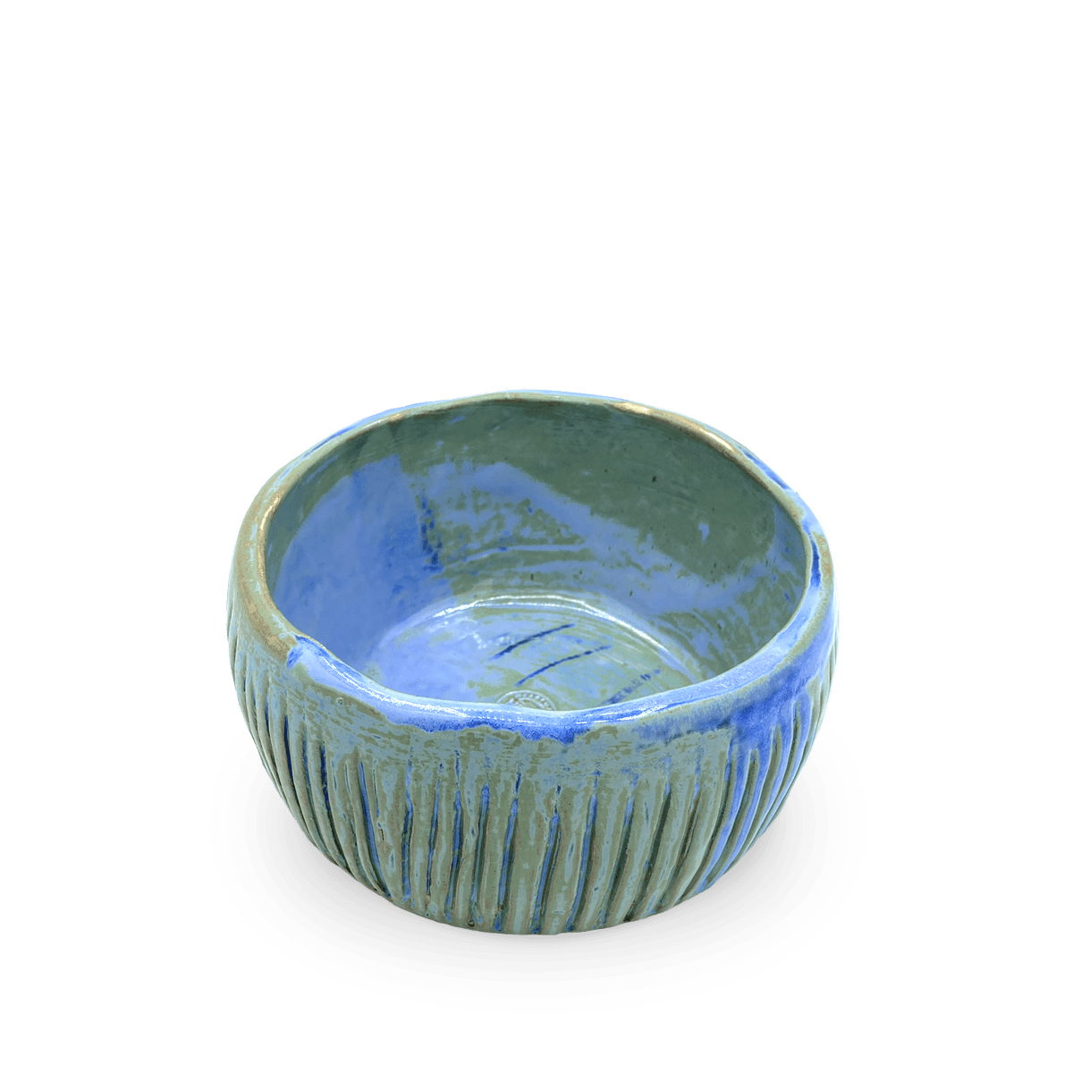 Mascotas Macarena XL lineas Azul y Verde 2